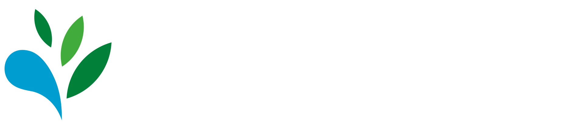 rec-cataratas